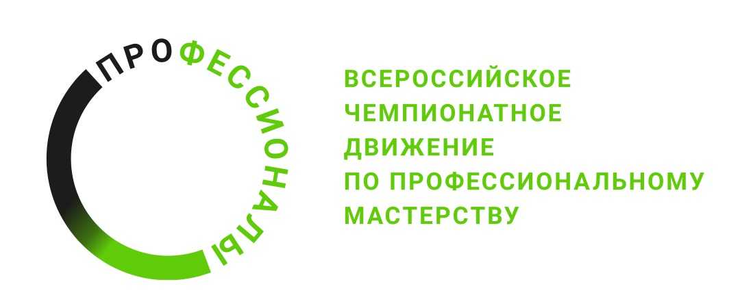 Профессионалы 2025 Санкт-Петербург